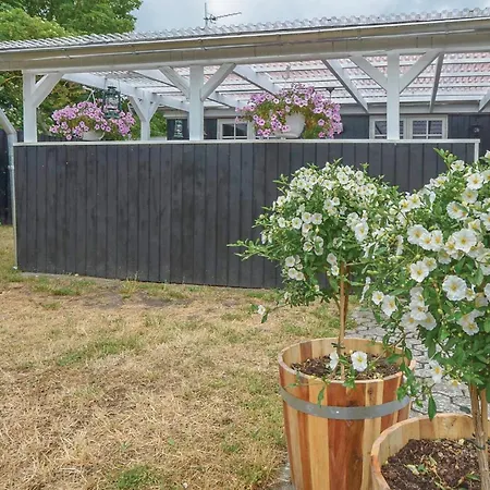 With Fireplace Xiv Nyborg