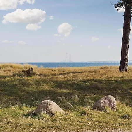 With Fireplace Xiv Nyborg